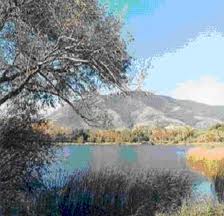 lago falciano
