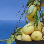 limoni