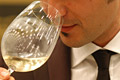 vino5