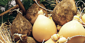 caciocavallo