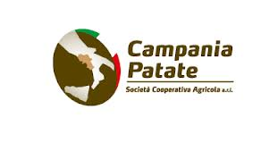 campania patate