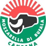consorzio