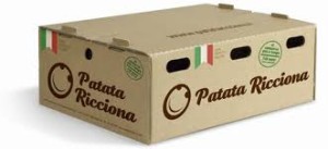 patataricciona