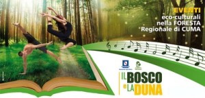 bosco_duna_2013