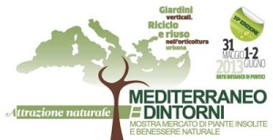 mediterraneo-dintorni-2013