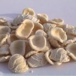 orecchiette