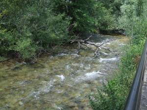 DSCF4649
