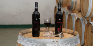 belrisguardo-vini