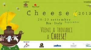spinosamozzarellacheese