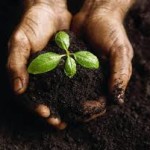agricolturasociale