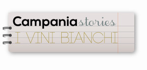 logo CS I vini bianchi