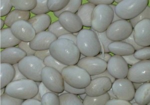 fagiolo-gorga