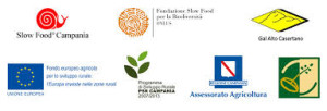 fondazionebiodiverità
