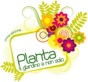 plata
