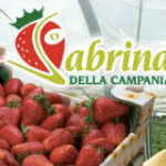 sabrina della campania