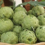 CESTO CARCIOFI BIANCHI