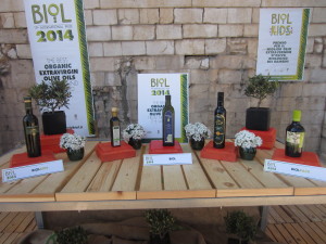 Foto-Biol-1-011