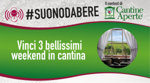cantineaperte2014