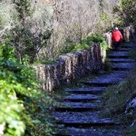 piedimonte 2