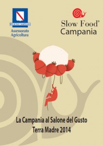 campania-sdg