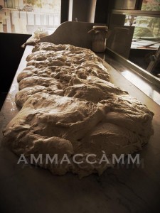 ammaccam2