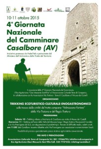 Locandina-Camminare 2015