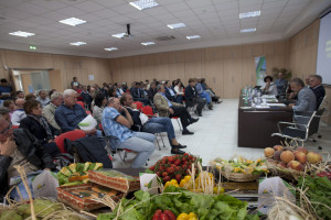 coop sole 30.09.15
