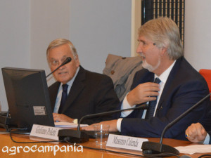 adriano giannola