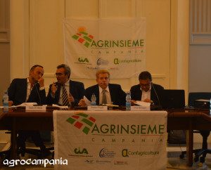 agrinsieme1