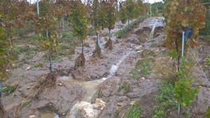 alluvionesannio