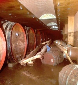 alluvionesannio2