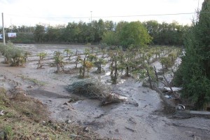 alluvione20
