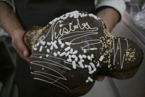colomba-nata-vita