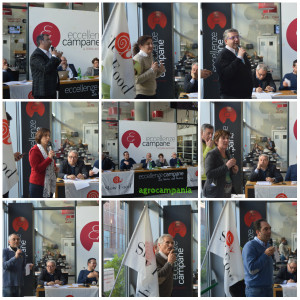 collagealleanza
