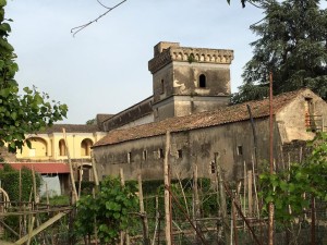 tipicheria4