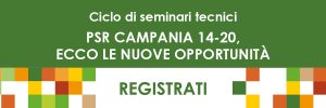 seminari_psr_900