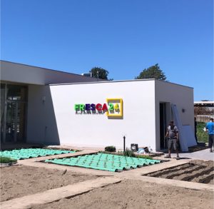 07-workinprogress-ortonegozio