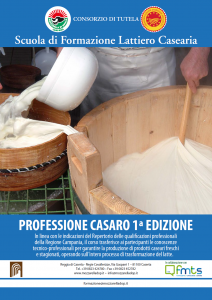 casaro
