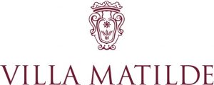 VMLogo