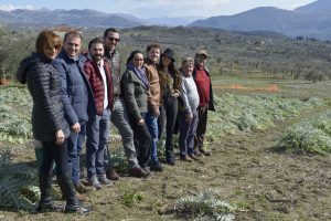 RETE PRODUTTORI CARCIOFO BIANCO TANAGRO (3)