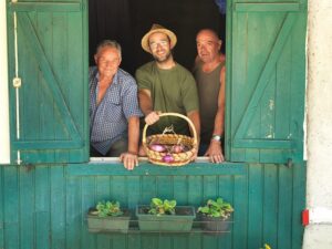Friuli_Cipolla di Cavasso e della Val Cosa_@AlbertoPeroli-L