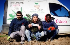 NATA TERRA 1