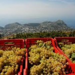 Itinerario – andar per crateri nei Campi Flegrei