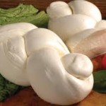 Fior di Latte: il nettare bianco dei Lattari