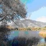 itinerari – Tra vino e oro bianco