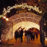 Salerno si illumina di magia