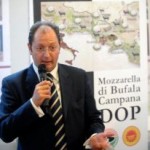 Mozzarella DOP, il pregiudizio sui produttori