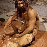 Agricoltura neolitica in Europa: 8000 anni fa si concimavano i campi