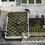 L’Orto in Campania ospita il programma ‘Orto in condotta’