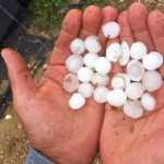 Maltempo: con tempeste estive un miliardo di danni nei campi